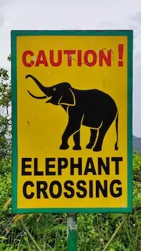 Street sign saying Caution Elephant